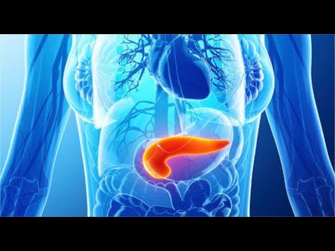 Pankreasi, organ i heshtur por jetik