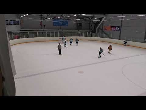 Pelicans Turkoosi - Ilves Colorado