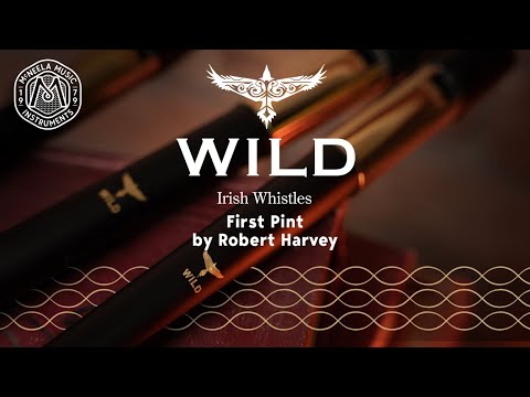 The Wild Irish Whistle - First Pint