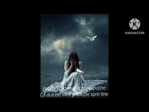 Departe eşti , curată fecioară...[Lyric Video] || Estera&Adina Pătcaș