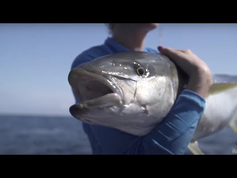 KINGFISH SPECIAL (Season 7, episode 5)