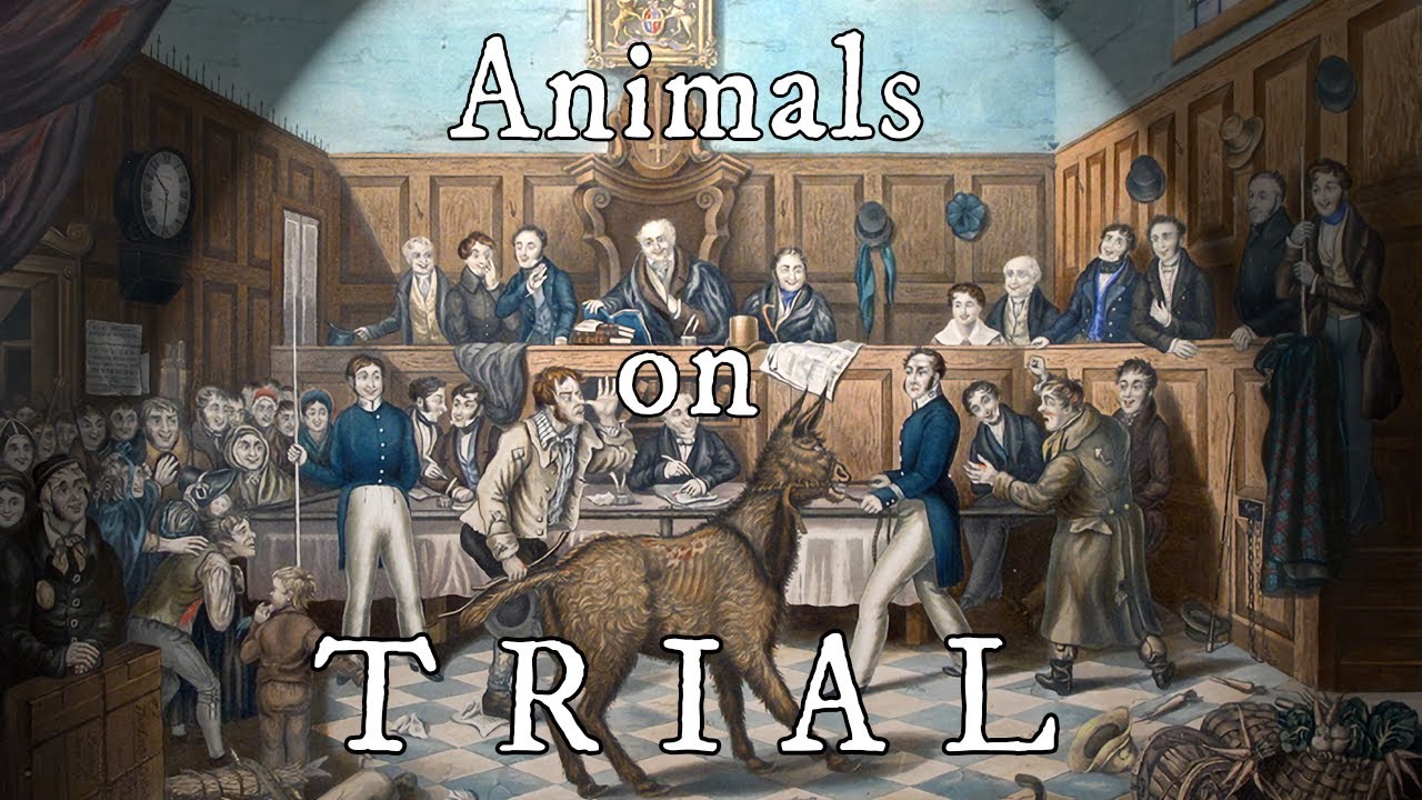 When Animals Went to Trial
