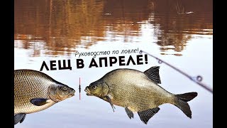 На какую приманку лучше ловить леща весной