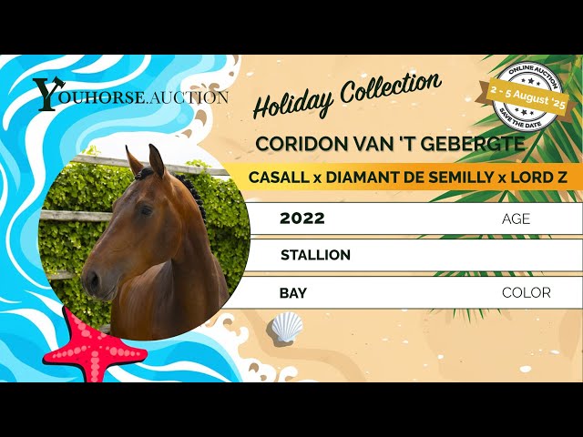 Coridon van 't Gebergte