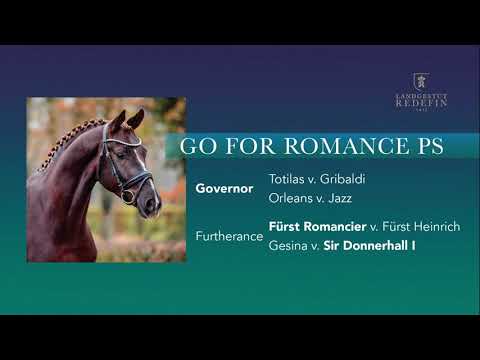 Go for Romance v. Governor -  Fürst Romancier, Oldenburger Hengst, gekört * 2019