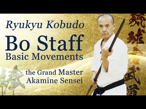 The best Bo Staff Basic | the Grand Master shows you | Ryukyu Kobudo | Ageshio Japan