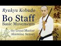 The best Bo Staff Basic | the Grand Master shows you | Ryukyu Kobudo | Ageshio Japan