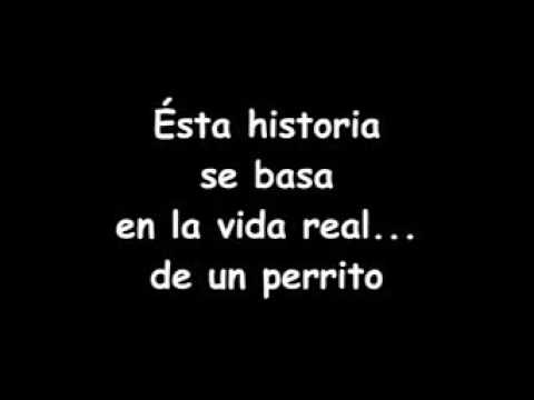 La vida de los perritos