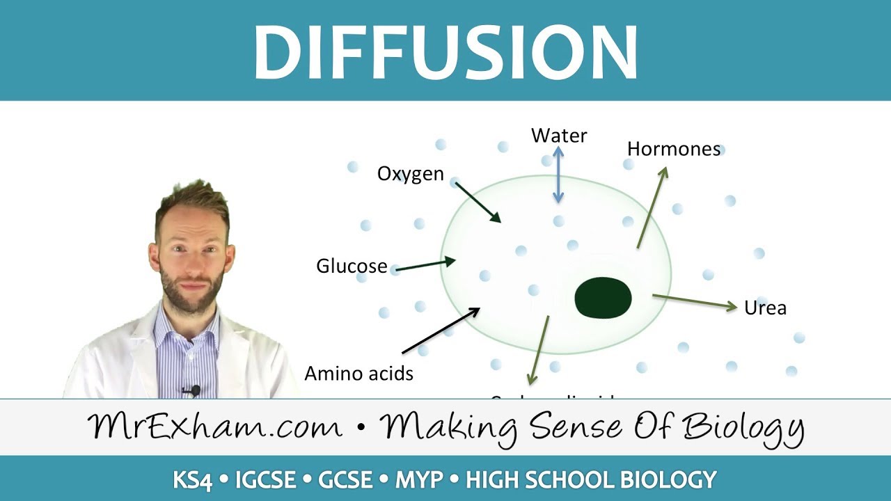 Diffusion - GCSE Biology (9-1)