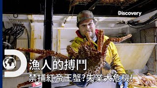 [問卦] 帝王蟹不會被人類吃光嗎?