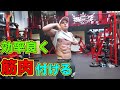 バルク、減量、適切な期間は?【筋トレ】