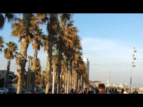 Barceloneta Beach,  Barcelona 4