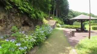 preview picture of video '天草市西の久保公園の花菖蒲園へ(Iris garden) 2014 in Amakusa City'