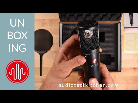 sE Electronics sE2300 Large Diaphragm Multipattern Condenser Microphone - Black image 2