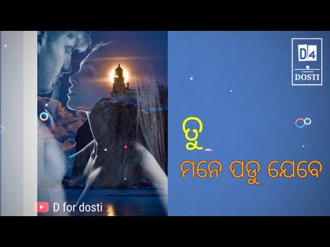 Tu Mane Padu Jebe !! Odia Romantic Status Video !! Human Sagar & Asima !! D for dosti !!