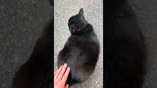 お尻トントンからのガブッ‼︎