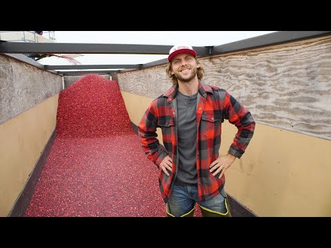 First Time Cranberry Grower