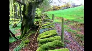 James Ingram - Forevermore I&#39;ll be the one wmv