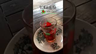 Download lagu Yakinlah ☘️~ Iwan Fals mp3