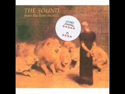 the sound - contact the fact
