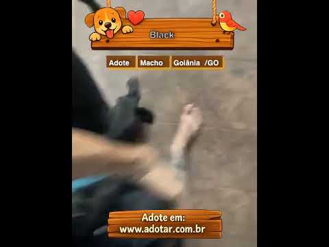 Vídeo de Black