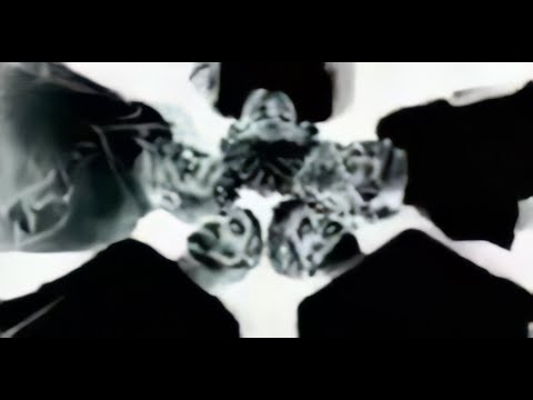 Herzer - Monochrom (4K, 30FPS)