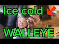 Video Thumbnail for ICING FREEZING COLD WALLEYE with my grandpa￼