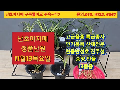유튜브 썸네일