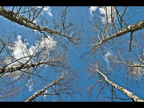 Etasonic - Recovery (Intro Edit)