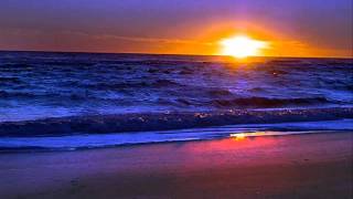 A Man Called Adam　－　Barefoot In The Head