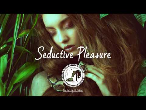 Kodyak & Drip-133 - Brother Bear