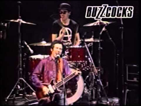 The Buzzcocks Live 1981