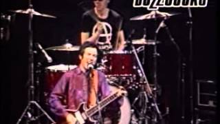 The Buzzcocks Live 1981