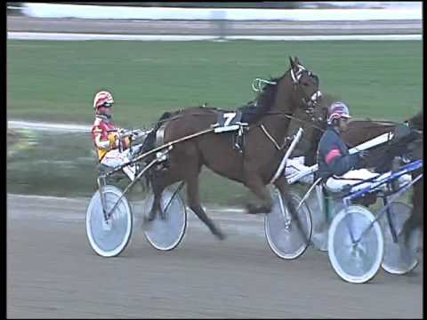 Trotto 13/12/2015 - 4° corsa Pr.OIKOS eliminatoria B