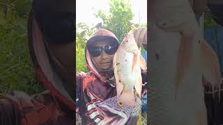 Download lagu Nila Babon mancing di pelembinatur wko#shorts mp3