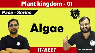 Plant Kingdom 01 -  Algae | Class 11 | CBSE | NCERT | NEET | PACE SERIES