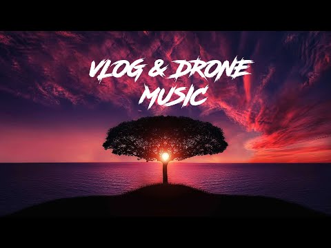 Siberian summer - Sunny Fruit | Vlog Music Background | Free Download 4K