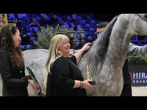 ⚜ HL EL GANADOR ⚜ 🥈 World Silver Champion Junior Colt