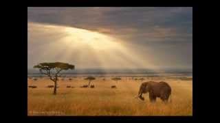 Ras Shiloh - Home To Zion