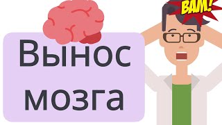 Пересказ и идея книги: Вынос мозга!