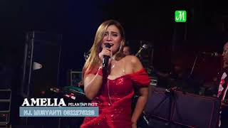Download Lagu Amelia Pelan Tapi Pasti Mawar Putih Evis Bp5 Live Menganti Kedung Jepara 2018 Mp3 Download Lagu Amelia Pelan Tapi Pasti Mawar Putih Evis Mp3
