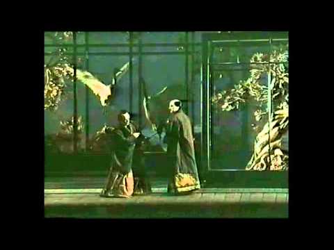 Iris 1996  Dessi Cura