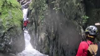 【大田山の会】6/8 奥多摩 水根沢