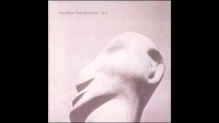 Roedelius -  Übern Fluss