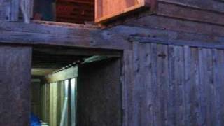 Little Timmy's Nightmare Part 4