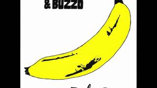 melvins - venus in furs