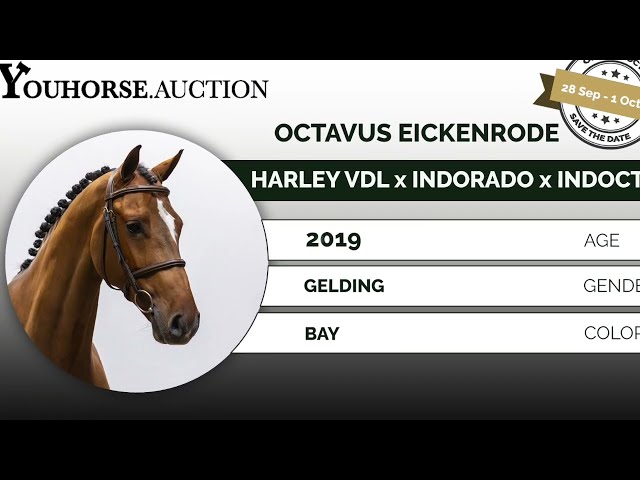 Octavus Eickenrode homevideo