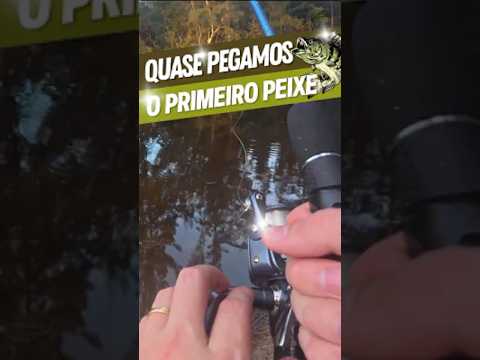 QUASE PEGAMOS O PRIMEIRO PEIXE | Vídeo completo na BIO! #pesca  #floresta  #eua  #florida