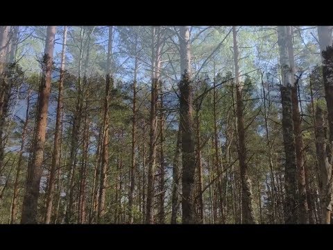 STORE MOSSE - 190522 - Möljeryd - Listersjöarna (KALLINGE - Ronneby - BLEKINGE)