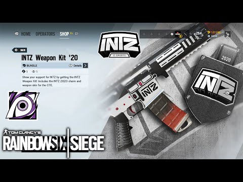 INTZ Weapon Kit 20 - Rainbow Six Siege